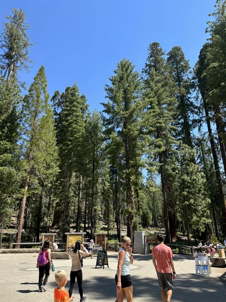 IMG_1436.jpg?type=w773