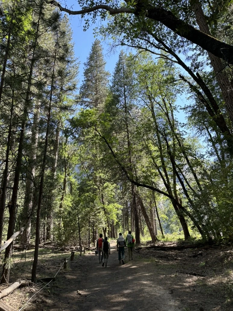 IMG_1128.jpg?type=w773