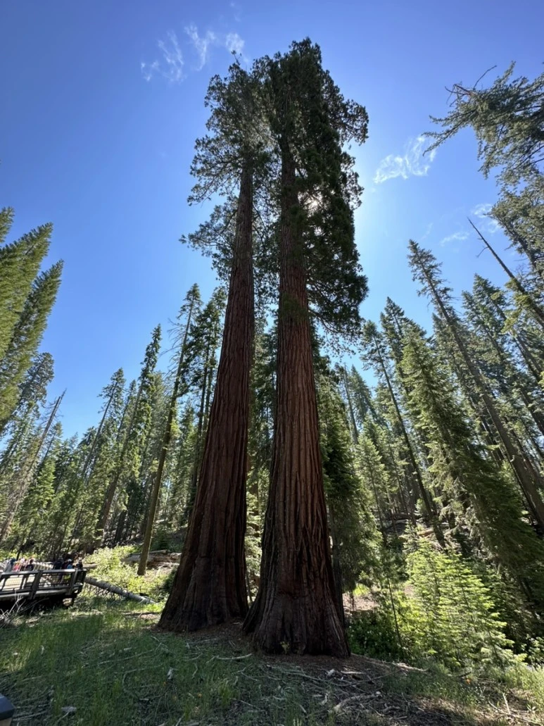 IMG_1444.jpg?type=w773