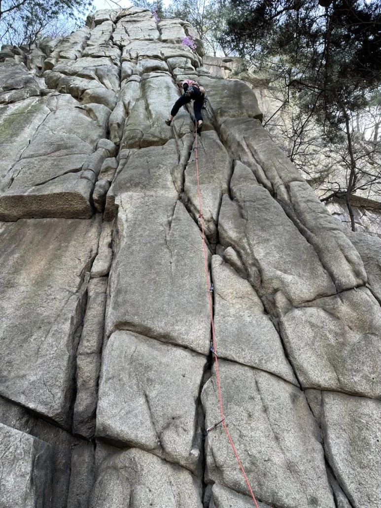 IMG_8217.jpg?type=w773