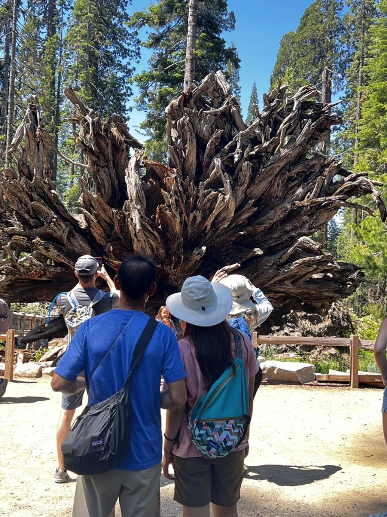 IMG_1276.JPG?type=w773