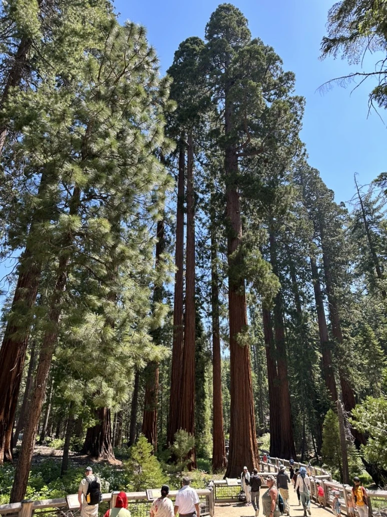 IMG_1442.jpg?type=w773