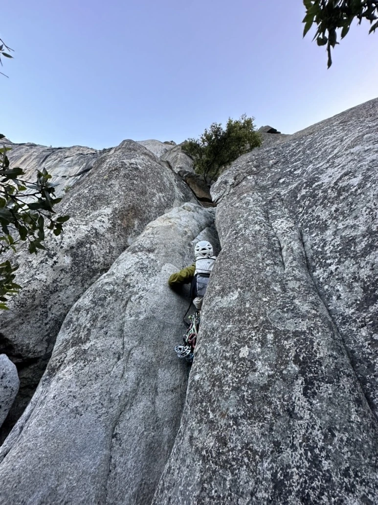 IMG_1018.jpg?type=w773