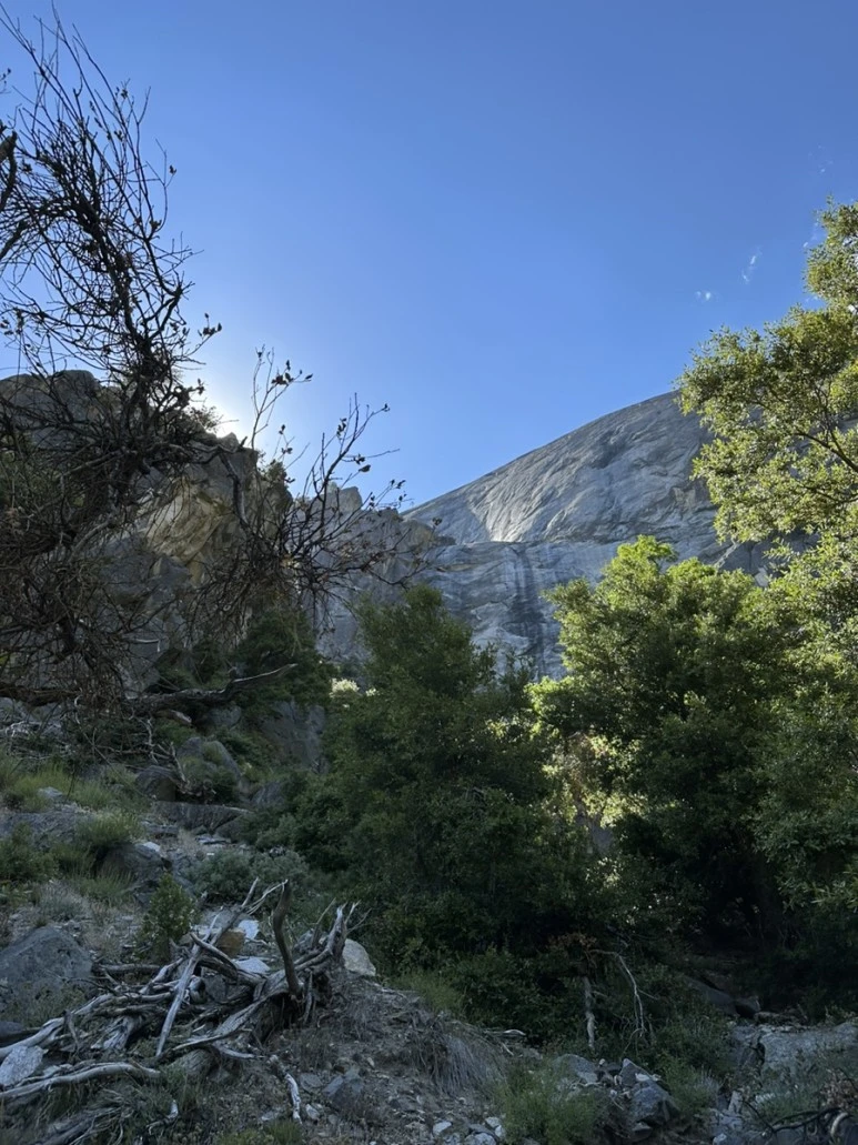 IMG_1111.jpg?type=w773