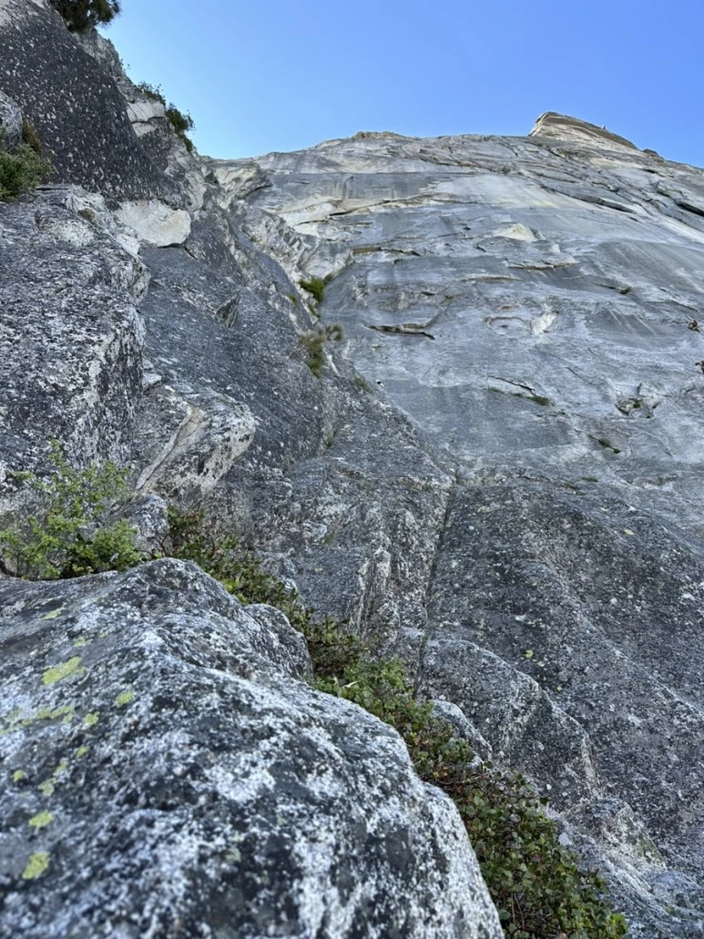 IMG_1249.jpg?type=w773