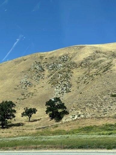 IMG_0733.jpg?type=w386