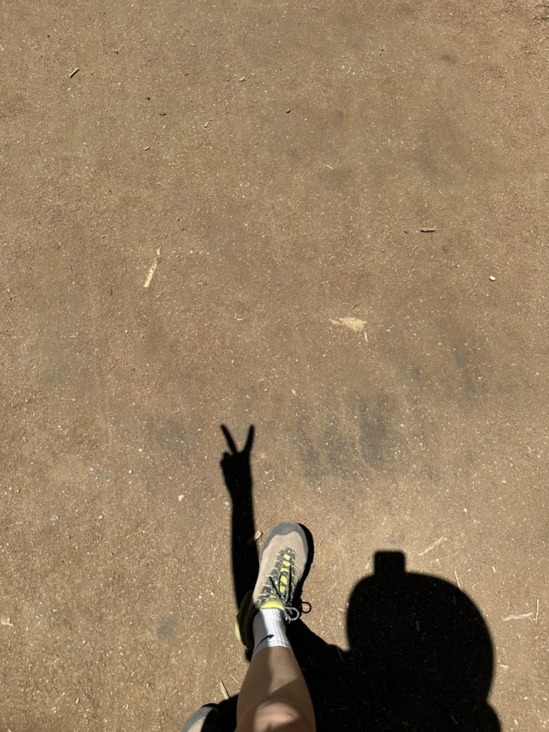 IMG_1519.jpg?type=w773