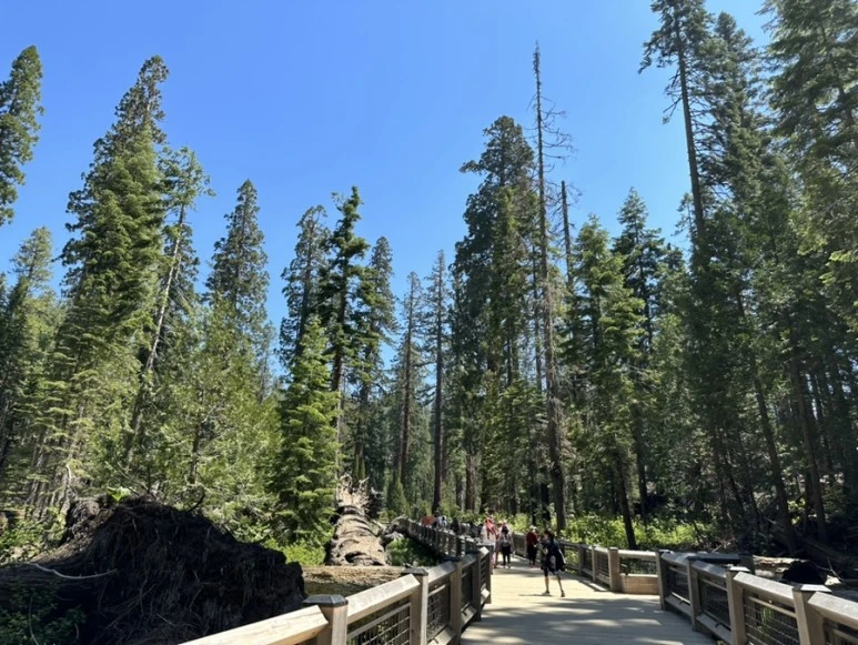 IMG_1445.jpg?type=w773