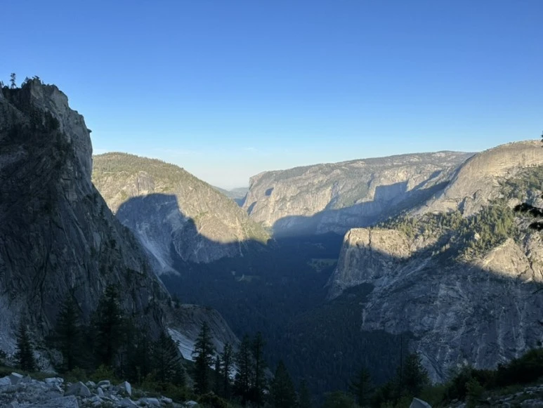 IMG_1305.jpg?type=w773