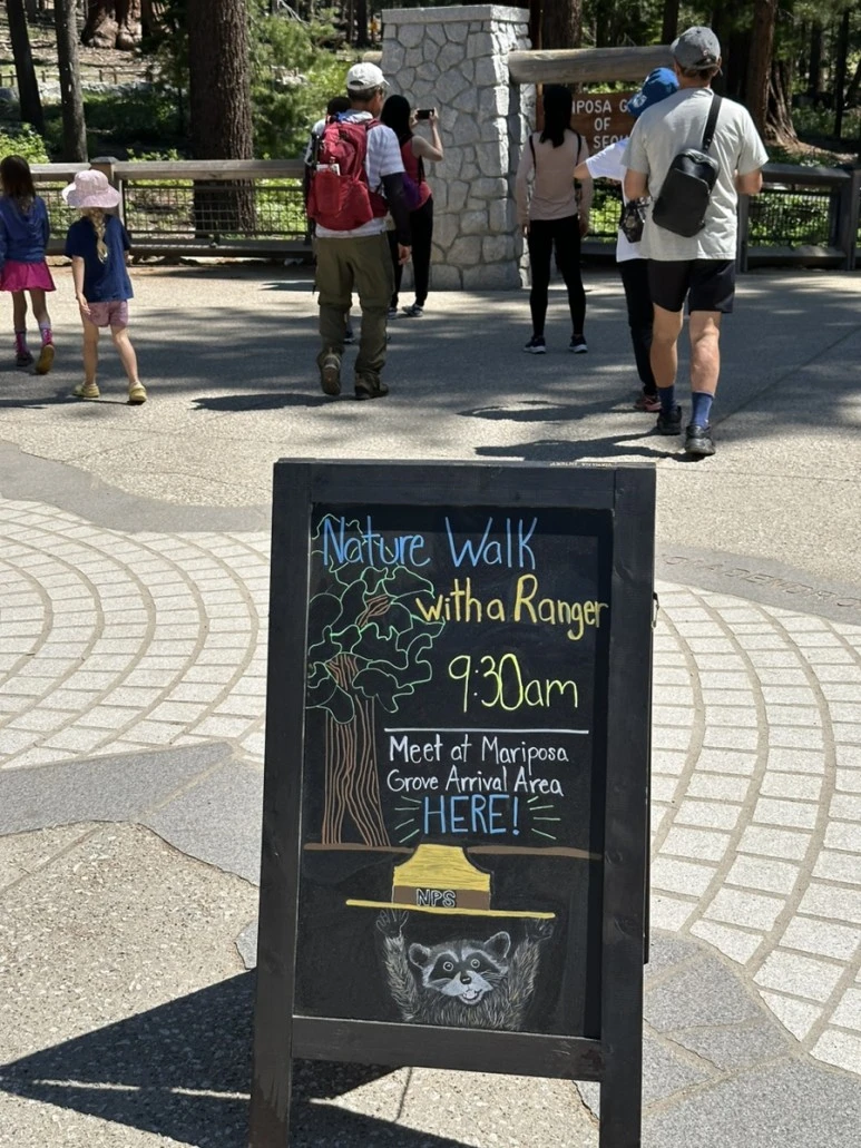 IMG_1437.jpg?type=w773