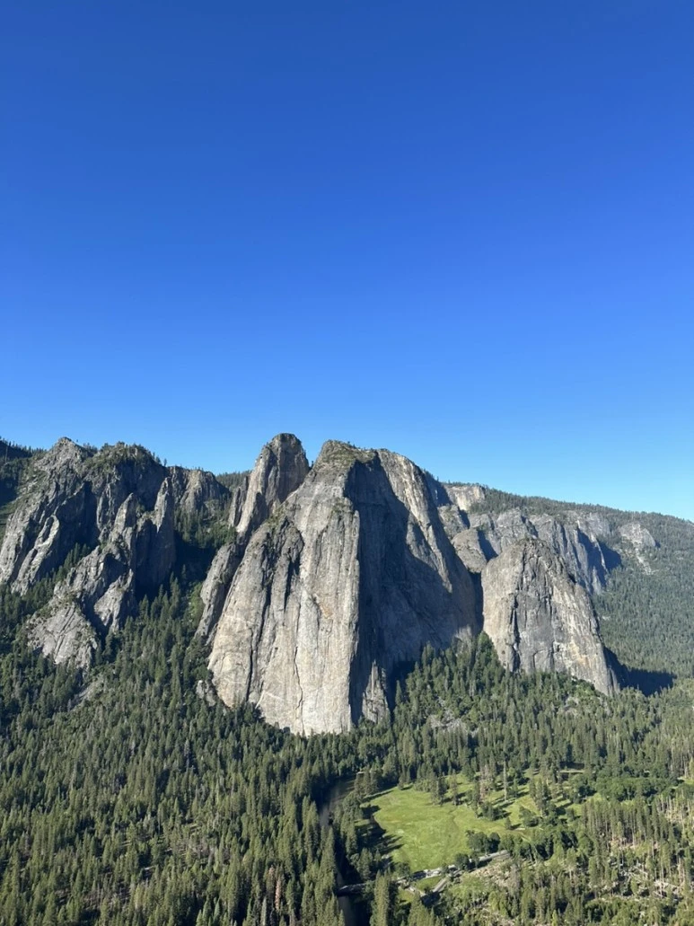 IMG_1038.jpg?type=w773