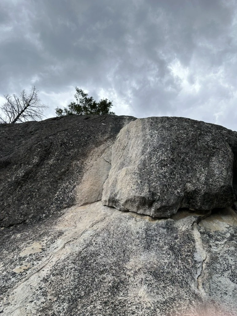 IMG_0938.jpg?type=w773