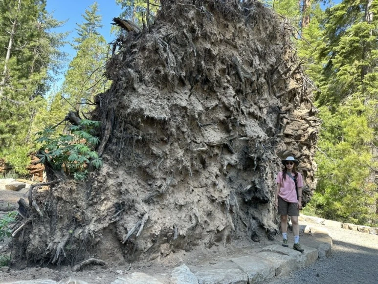 IMG_1452.jpg?type=w773