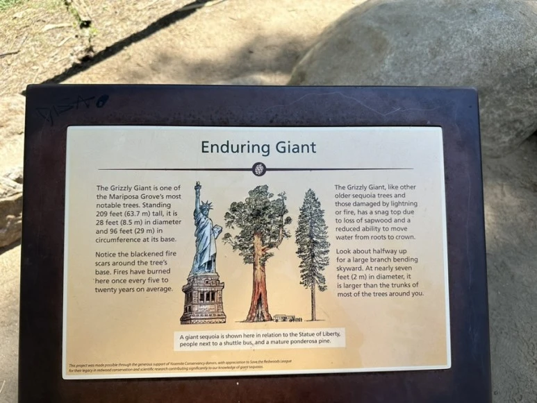 output_4074447615.jpg?type=w773