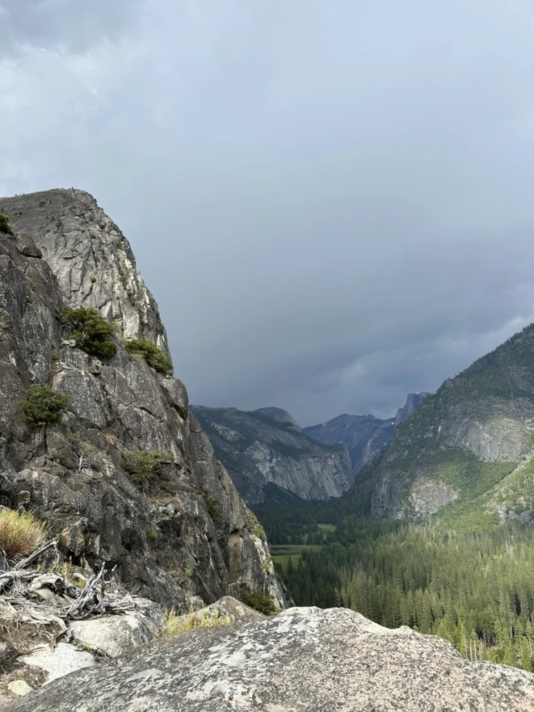 IMG_0947.jpg?type=w773