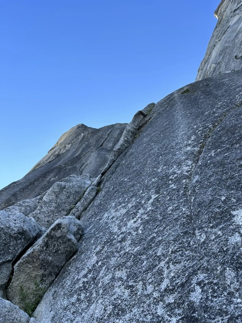 IMG_1238.jpg?type=w773