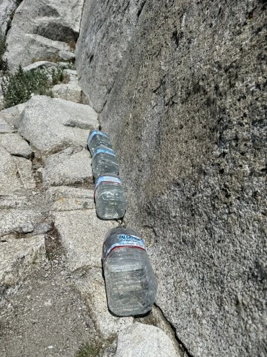 IMG_1680.jpg?type=w386