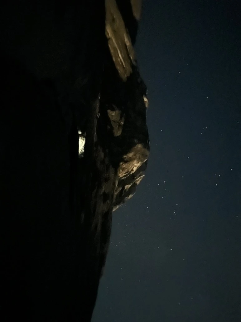 IMG_1652.jpg?type=w773