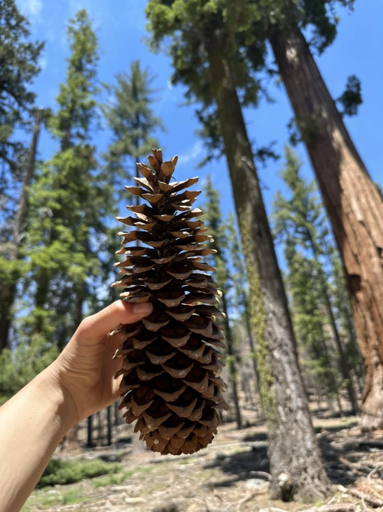 IMG_1518.jpg?type=w773