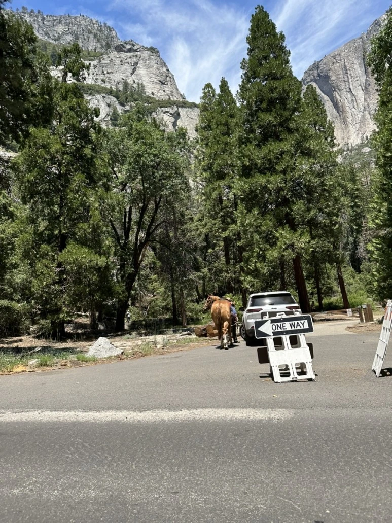 IMG_1321.jpg?type=w773