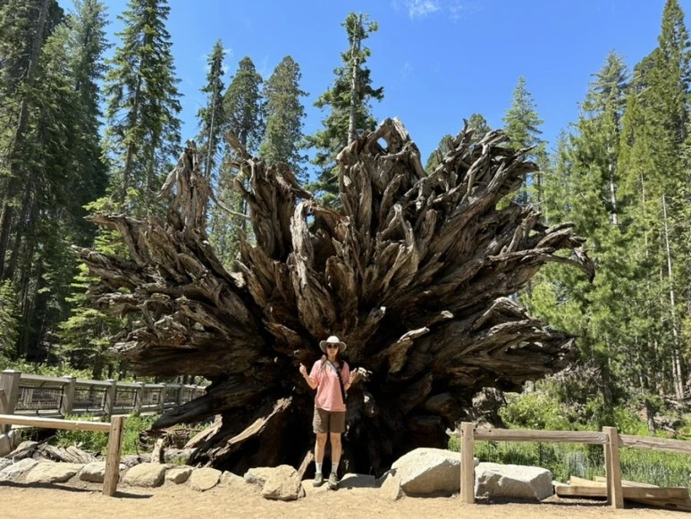 IMG_1453.jpg?type=w773