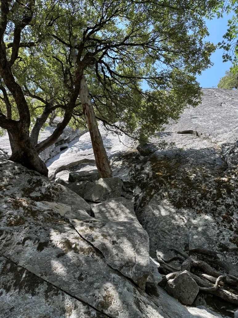 IMG_0926.jpg?type=w773