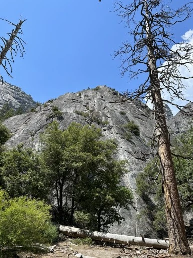 IMG_0921.jpg?type=w386