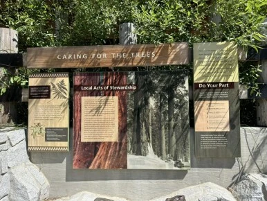 IMG_1421.jpg?type=w386