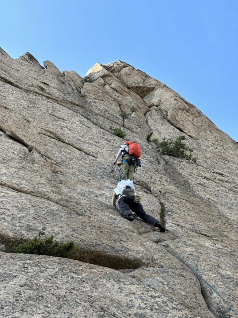 IMG_1335.jpg?type=w773