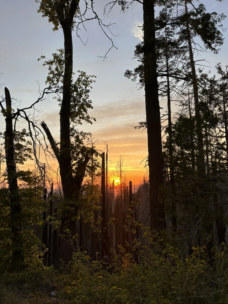 IMG_0785.jpg?type=w773