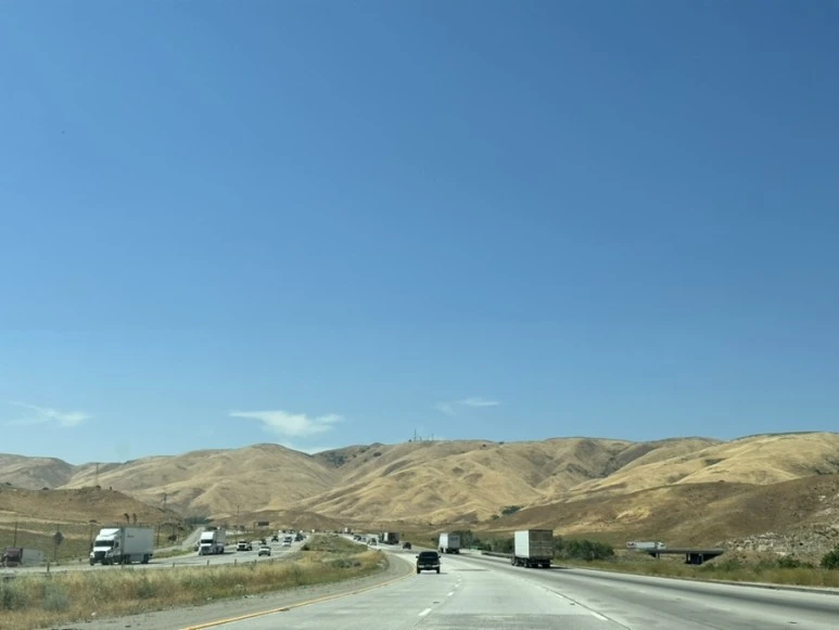 IMG_0727.jpg?type=w773