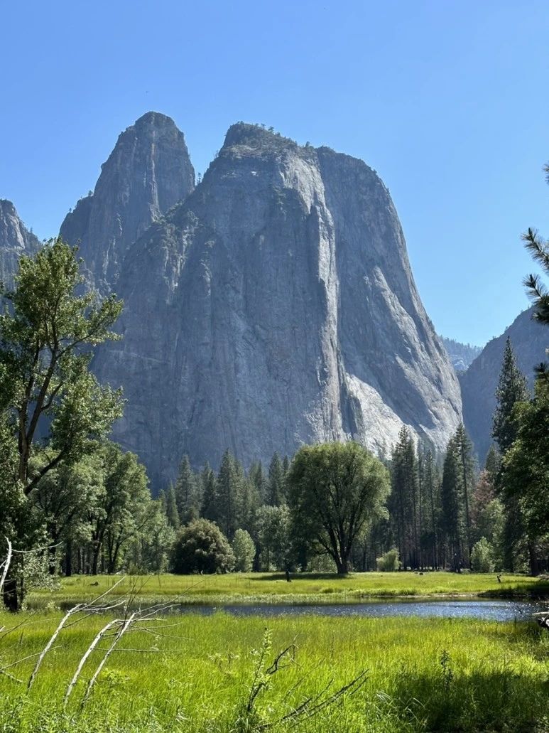 IMG_1118.jpg?type=w773