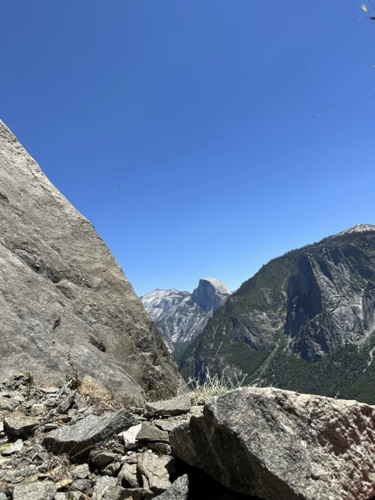 IMG_1076.jpg?type=w773