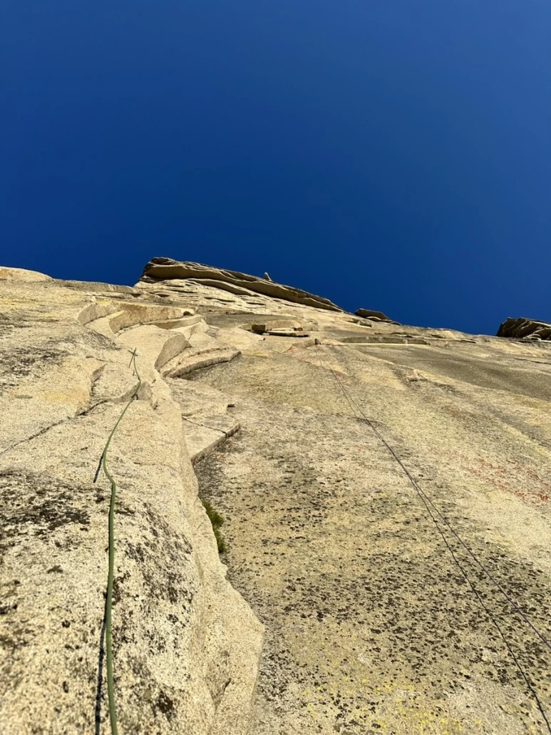 IMG_1266.jpg?type=w773