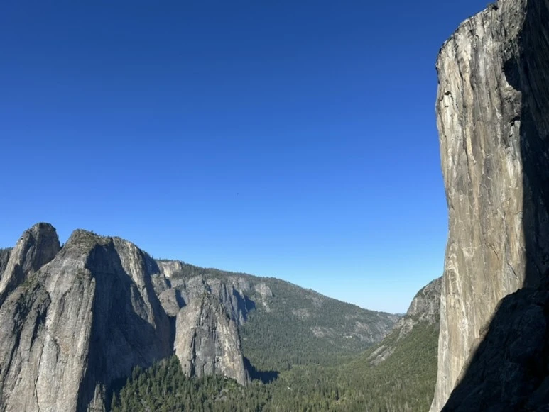 IMG_1043.jpg?type=w773