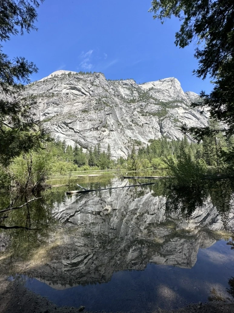 IMG_1310.jpg?type=w773