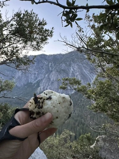 IMG_1014.jpg?type=w386