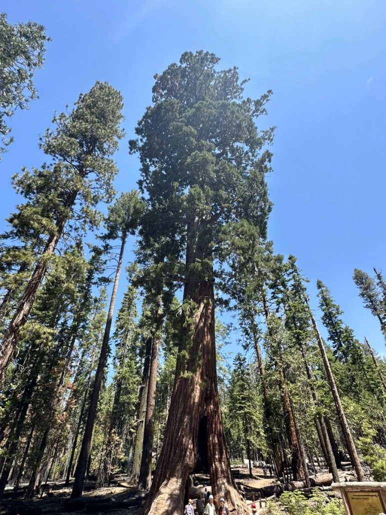 IMG_1480.jpg?type=w773