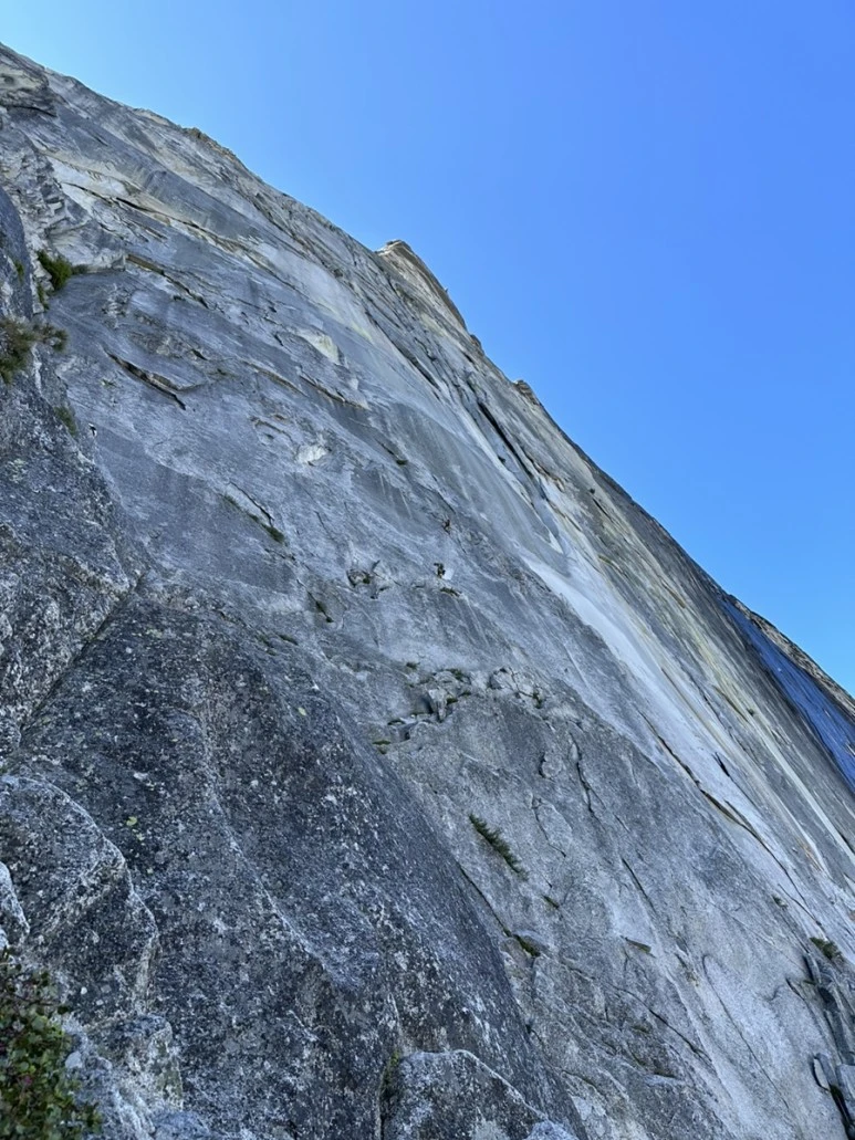 IMG_1250.jpg?type=w773