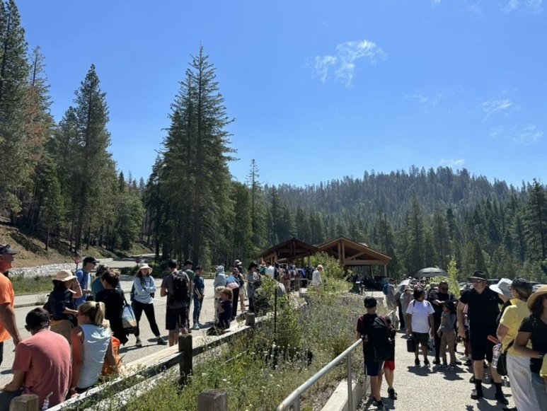 IMG_1425.jpg?type=w773