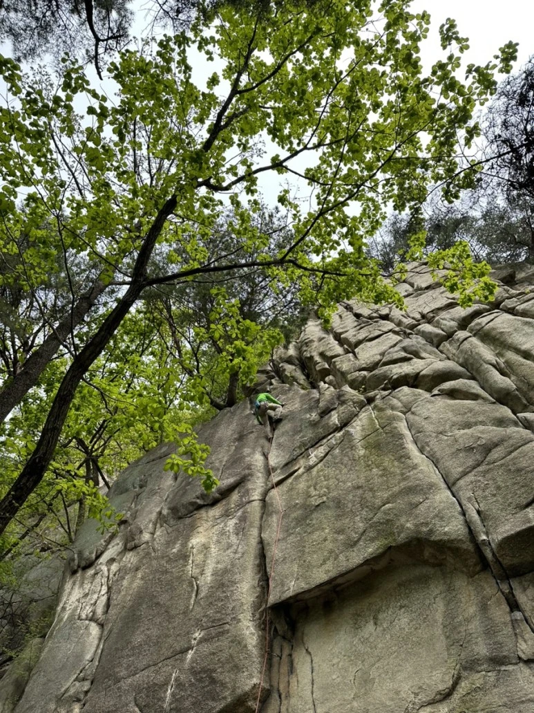 IMG_8749.jpg?type=w773