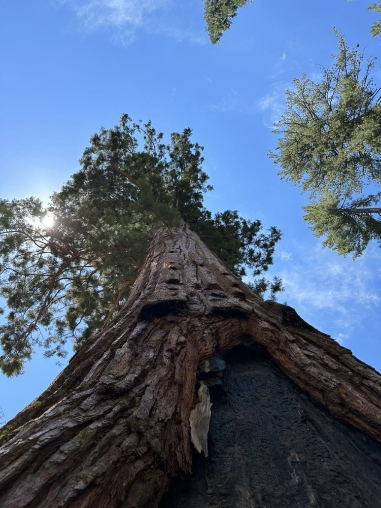 IMG_1499.jpg?type=w773