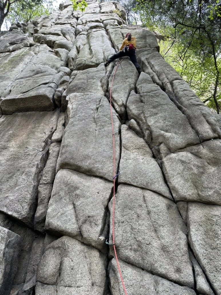 IMG_8625.jpg?type=w773