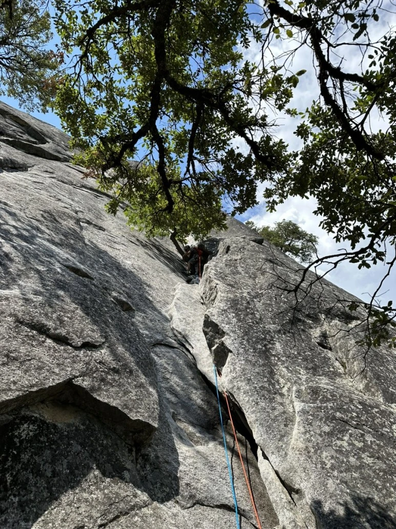 IMG_0930.jpg?type=w773