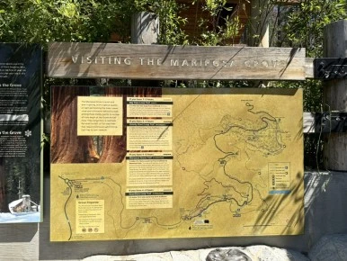 IMG_1420.jpg?type=w386