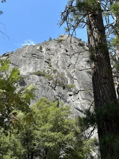 IMG_0920.jpg?type=w386