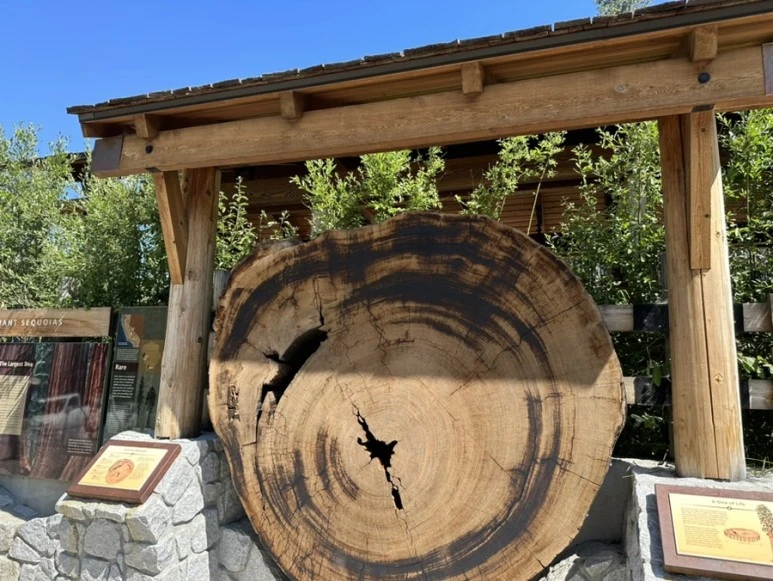 IMG_1422.jpg?type=w773