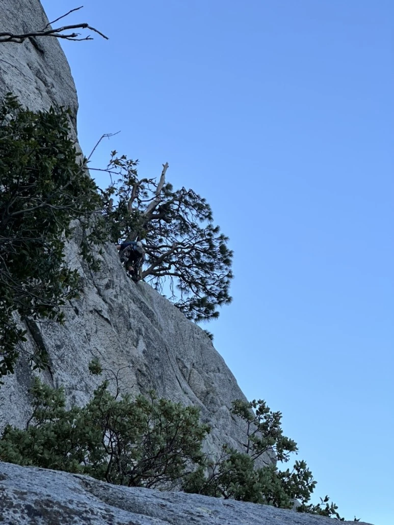 IMG_1640.jpg?type=w773