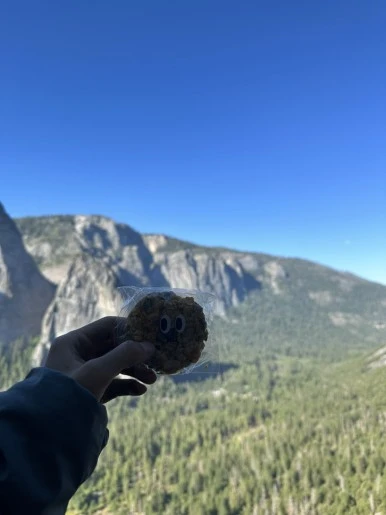 IMG_1664.jpg?type=w386