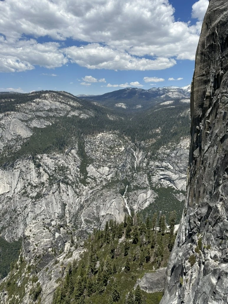 IMG_1264.jpg?type=w773